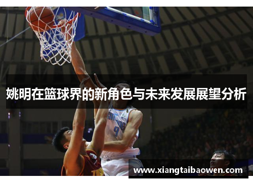 姚明在篮球界的新角色与未来发展展望分析